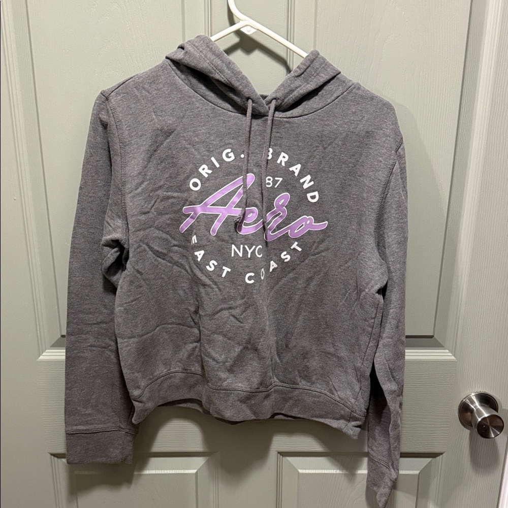 Aeropostale Gray and Purple Hoodie Sweater
